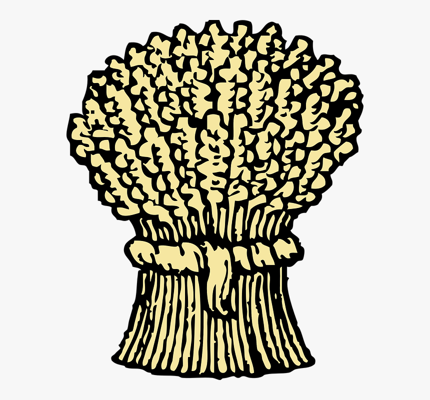 Wheat, Bunch, Grains, Sheaf, Pack, Harvest, Grain - Harvest Black And White, HD Png Download