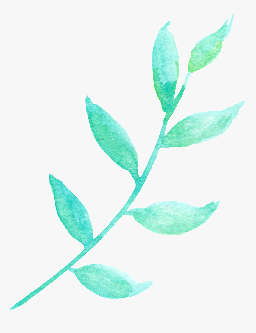 La Luz Del Sol Y La Hoja Verde Cartoon Png Transparente - Flower, Png Download