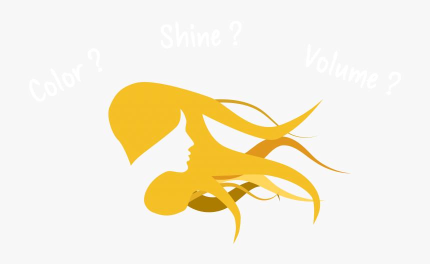 Claims Research Product Development Hair Care Color - Fundo Para Logo De Salao, HD Png Download