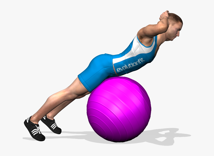 The Exercise Strengthens The Lumbar Area, It Is Fit - Ball Hyperextension, HD Png Download