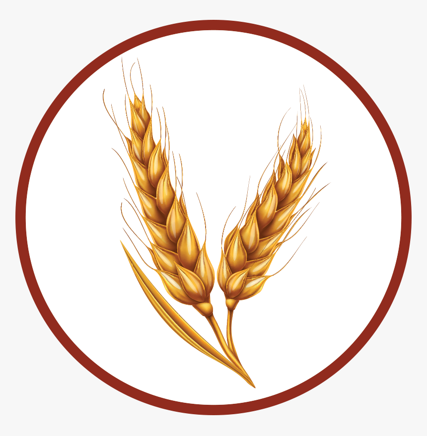 How To Make Bourbon Ingredients Wheat - Sheaves Of Wheat, HD Png Download