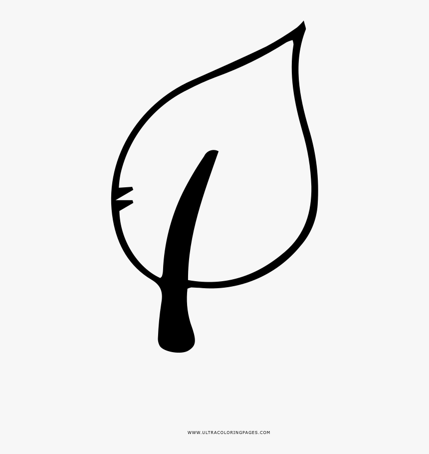 Verduras De Hoja Verde Página Para Colorear, HD Png Download