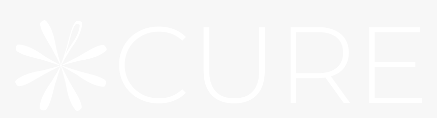 Cure Foundation - Breast Cancer - Carmine, HD Png Download