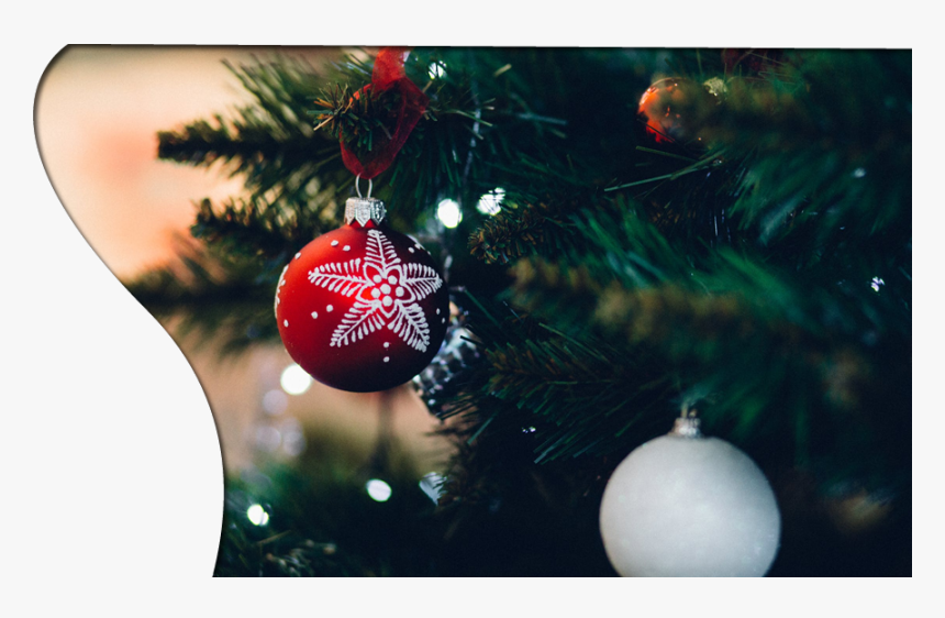 Christmas Tree Perspective, HD Png Download