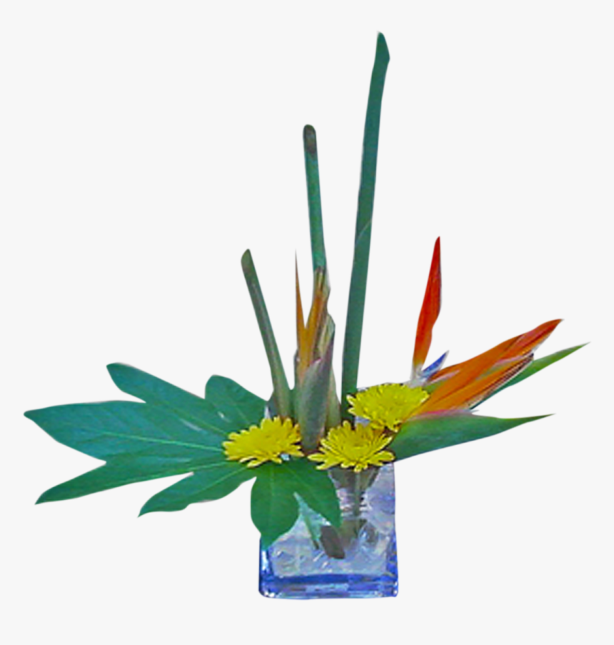 Transparent Bird Of Paradise Plant Png - Bouquet, Png Download