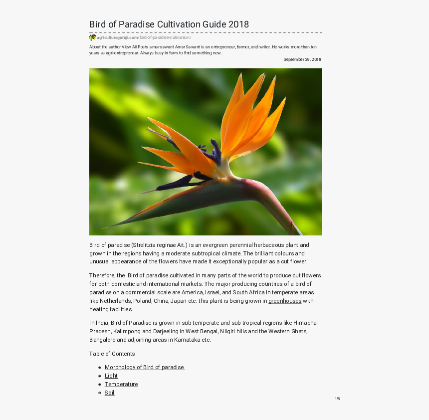 Limahuli Garden And Preserve Kauai Hi, HD Png Download