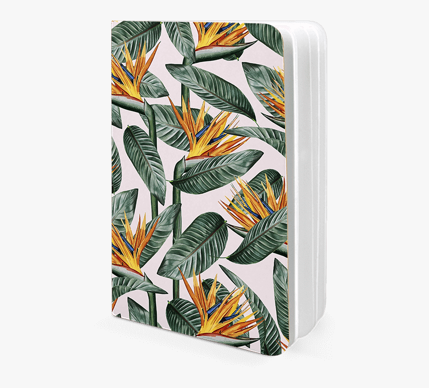 Transparent Bird Of Paradise Plant Png - Cushion, Png Download