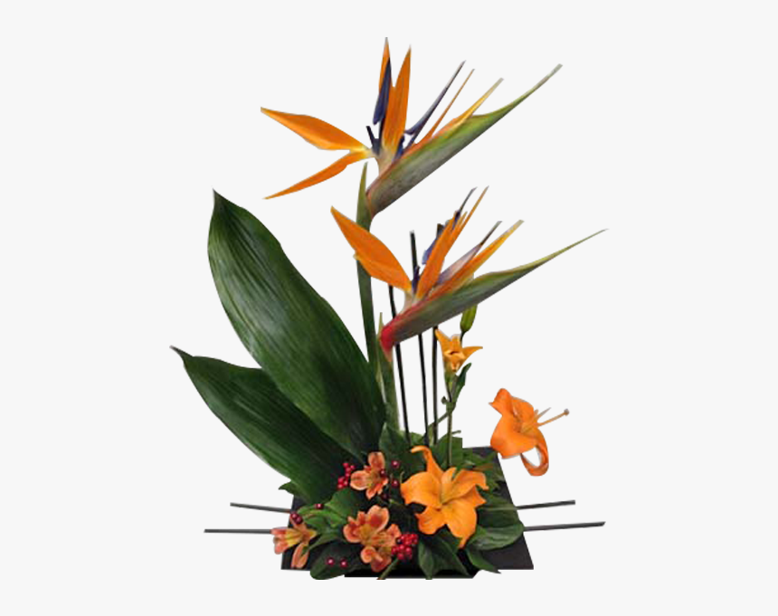 Bird Of Paradise Floral Png, Transparent Png