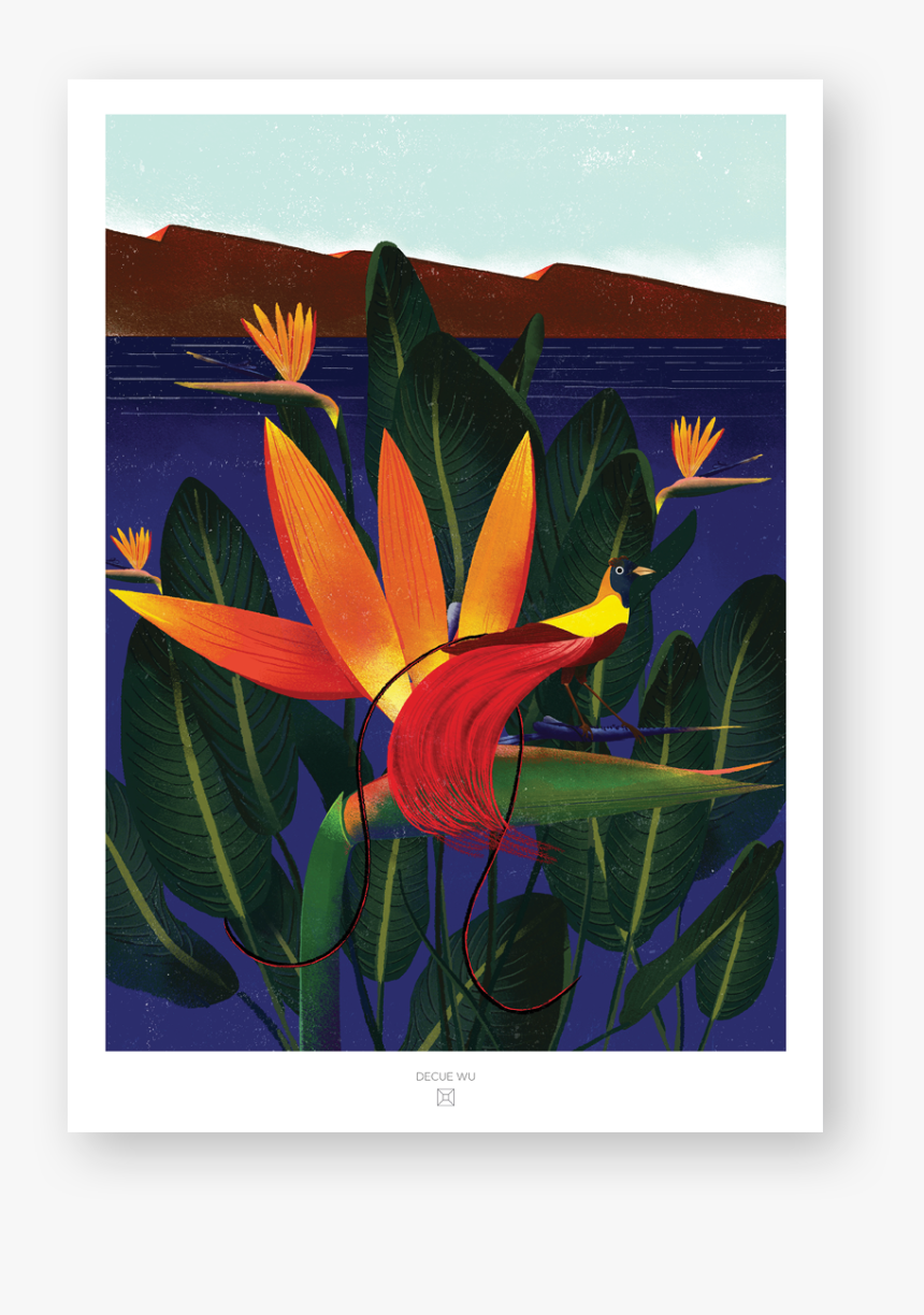 Bird Of Paradise, HD Png Download