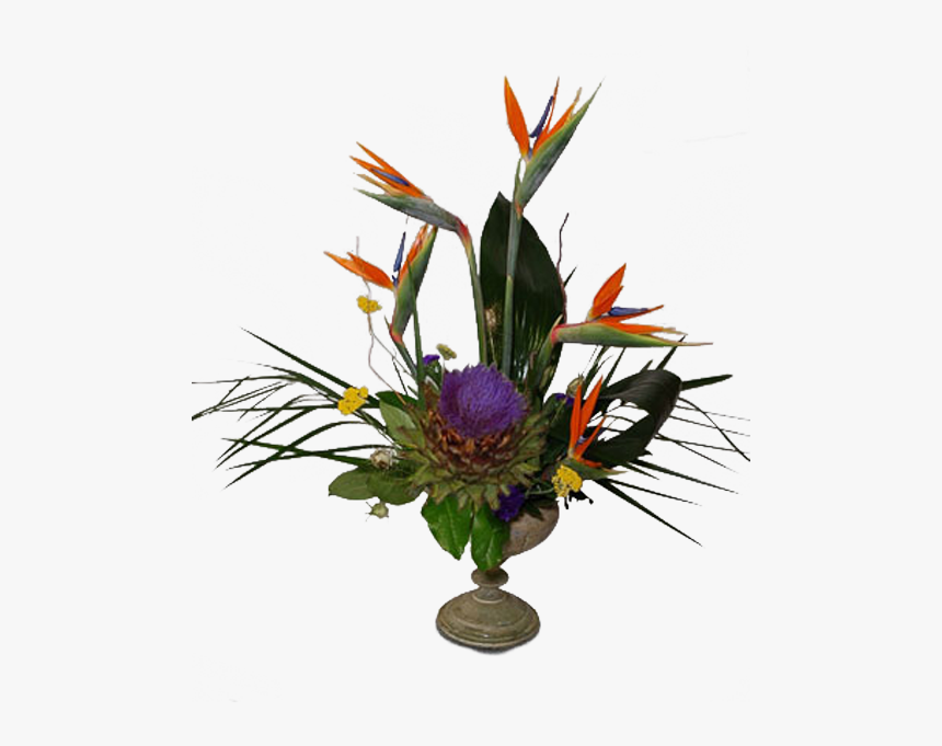 Bird Of Paradise, HD Png Download