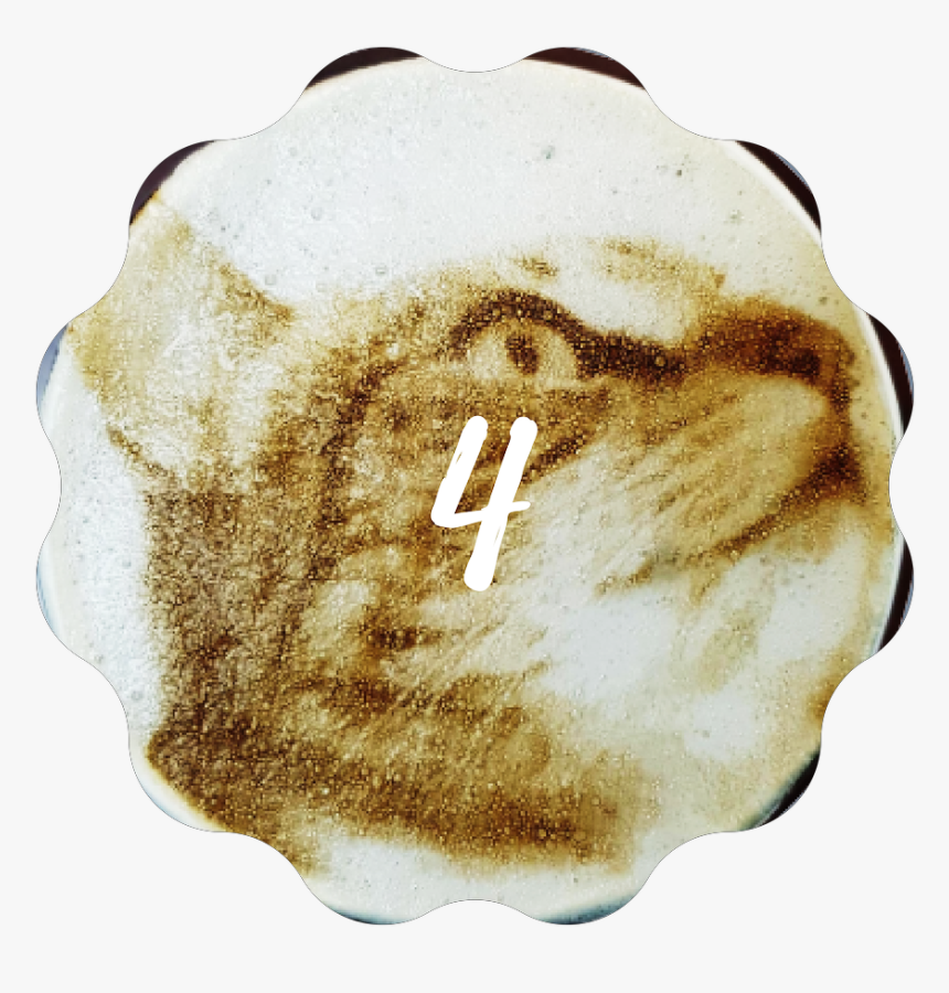 Print Selfies And Photos On Latte Art Iview Picasso - Snout, HD Png Download