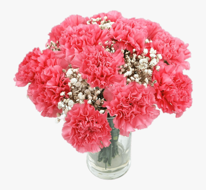 Pink Carnations - Carnation Flower Bouquet, HD Png Download
