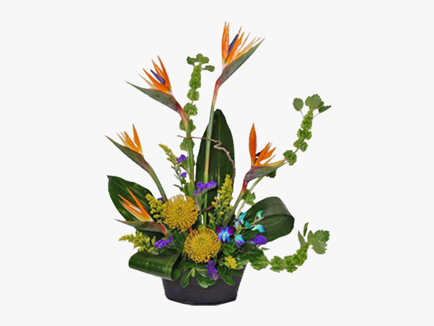 Bird Of Paradise, HD Png Download