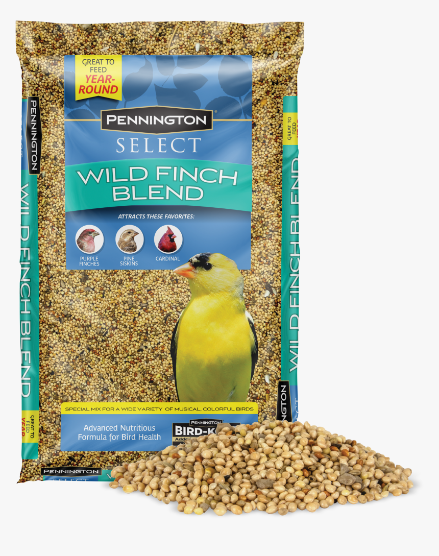 Bird Of Paradise Plant Png, Transparent Png