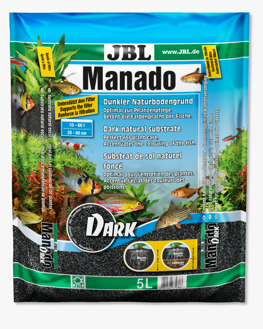 Bird Of Paradise Plant Png, Transparent Png