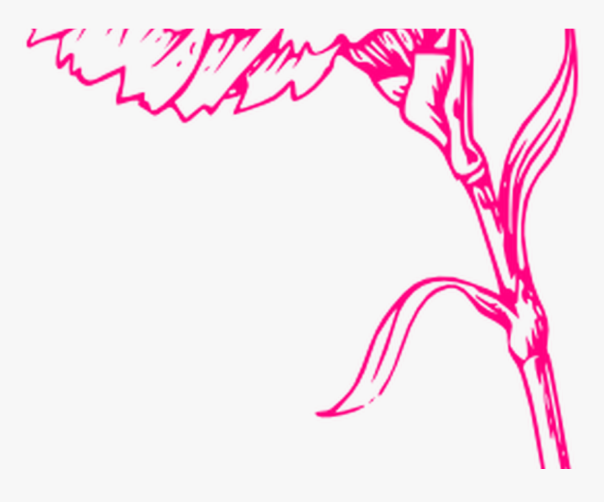 Transparent Pink Carnation Png - Marigold Clipart Black And White, Png Download