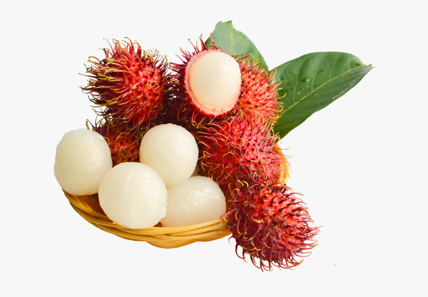 Clip Art Fruit Lychee Red Fresh, HD Png Download