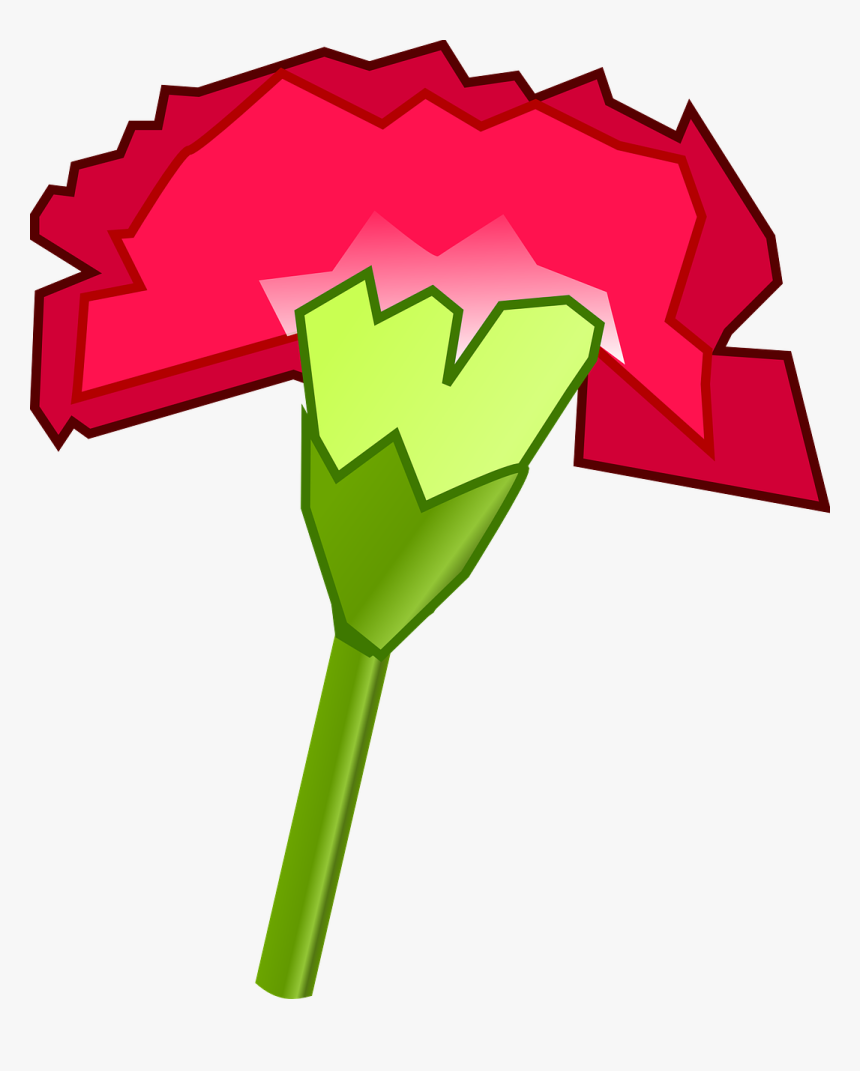 Cartoon Carnation, HD Png Download