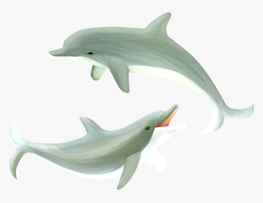 Dolphin Png - Common Bottlenose Dolphin, Transparent Png