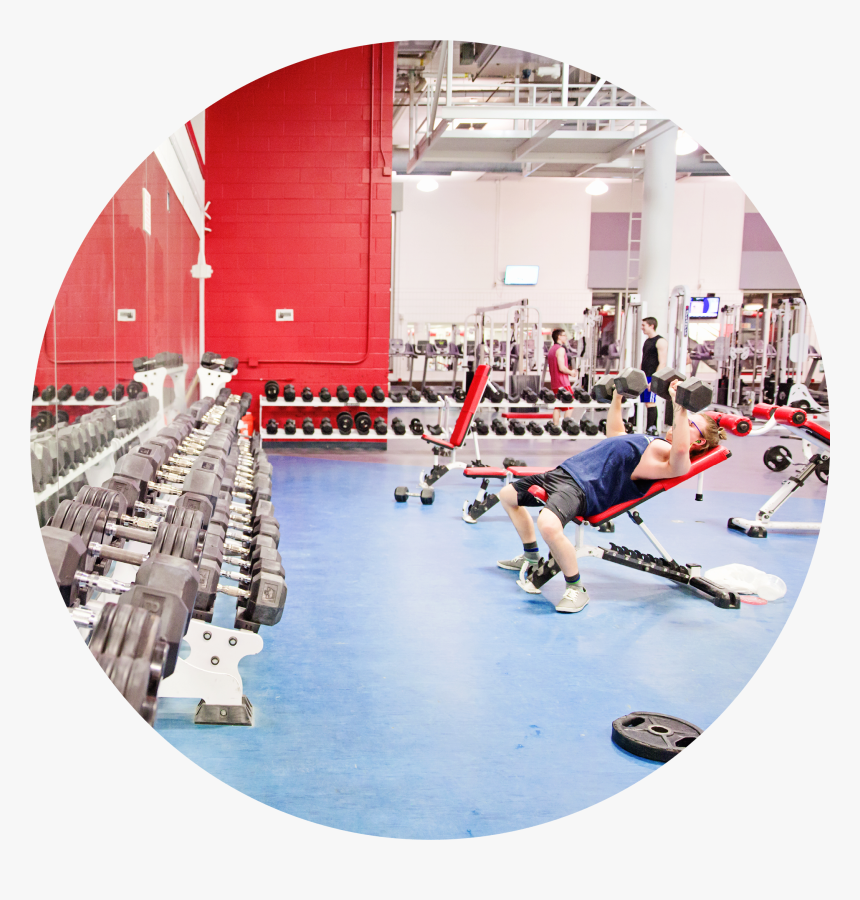 Transparent Student Walking Png - Gym, Png Download