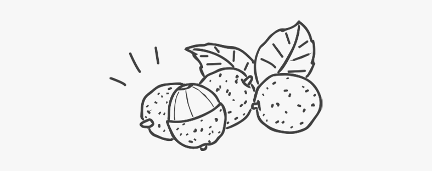 Line Art, HD Png Download