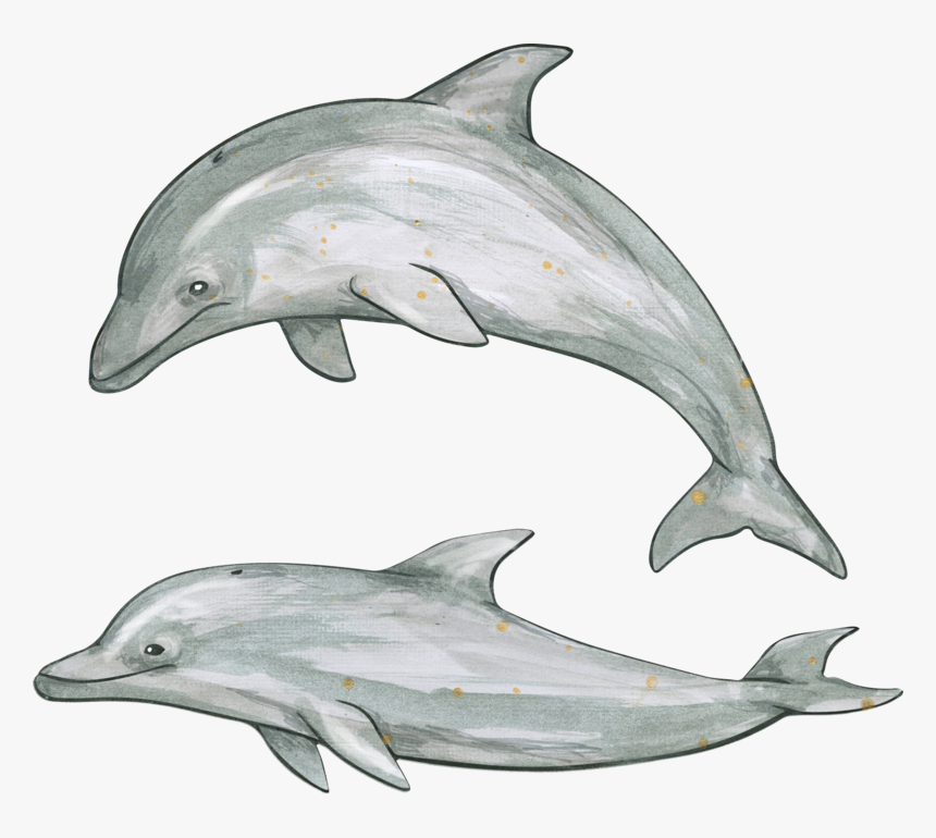 Дельфины Png, Transparent Png