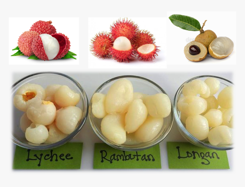 Lychee Rambutan And Longan, HD Png Download