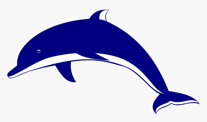 Dolphin Png - Dolphin Clipart, Transparent Png