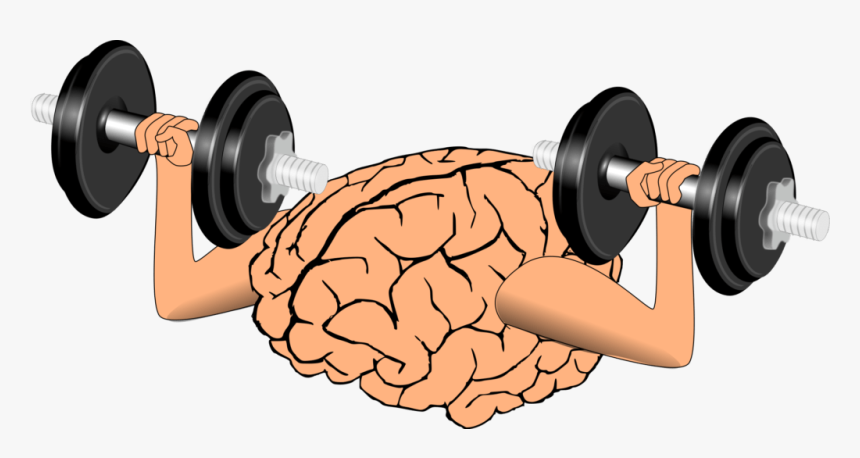 Brain Training Clipart, HD Png Download