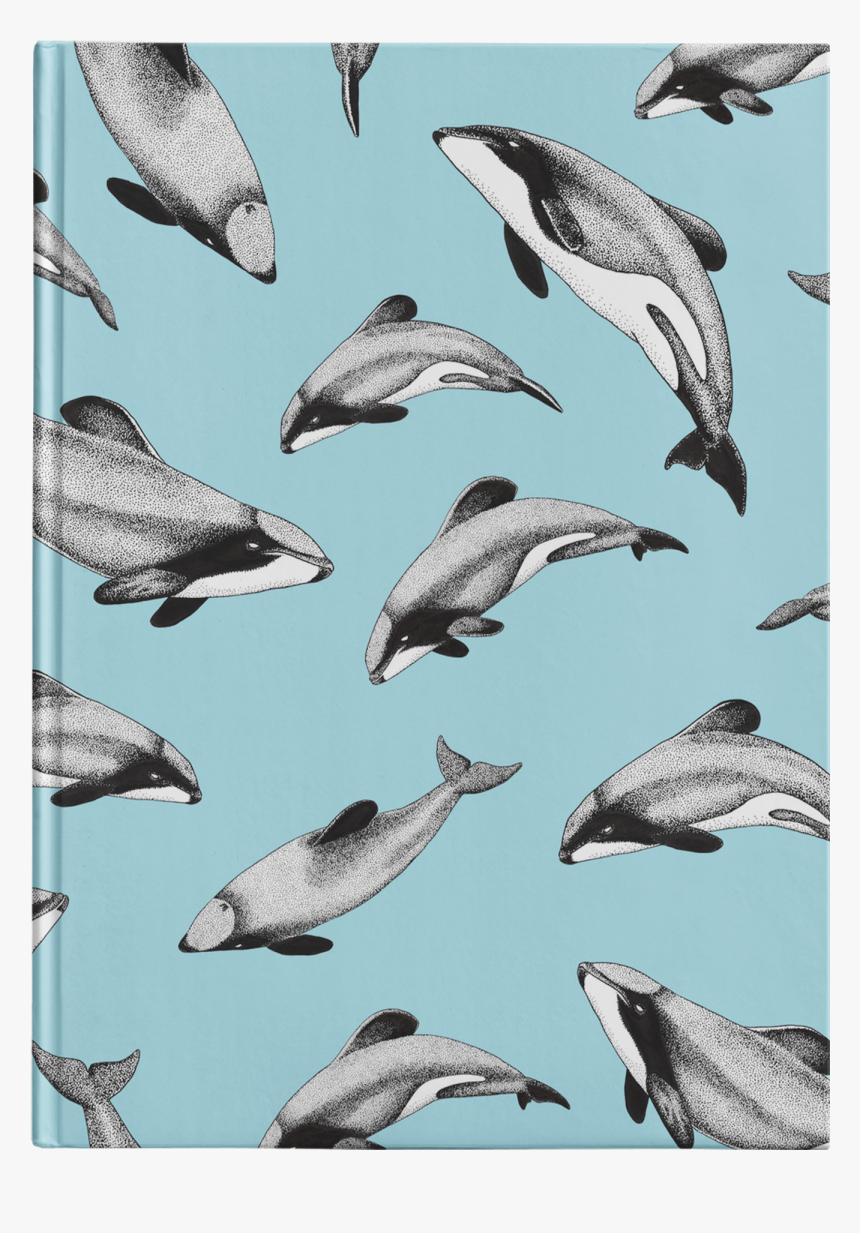 Common Bottlenose Dolphin, HD Png Download