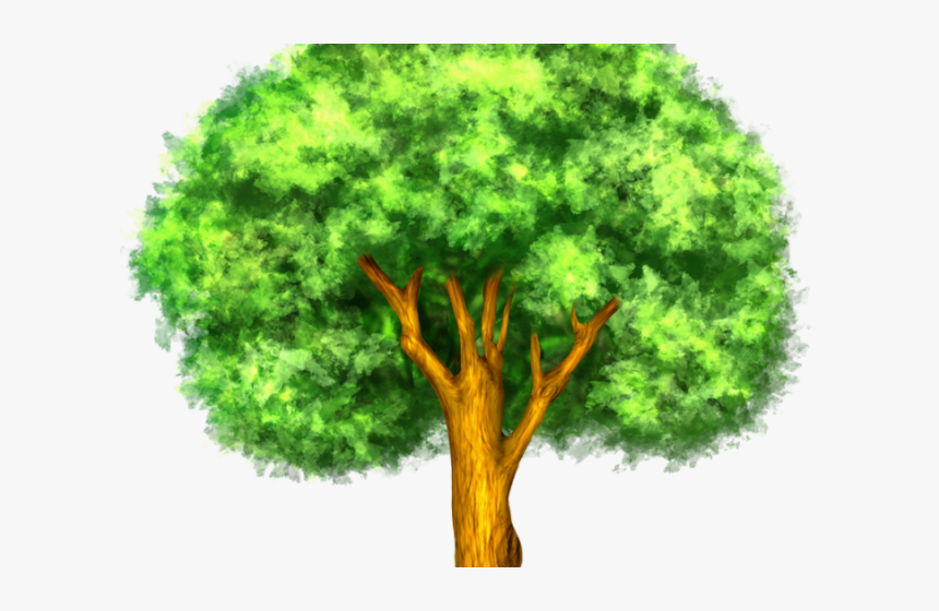 Larger Clipart Mango Tree - Plant Response To Climate Change, HD Png Download