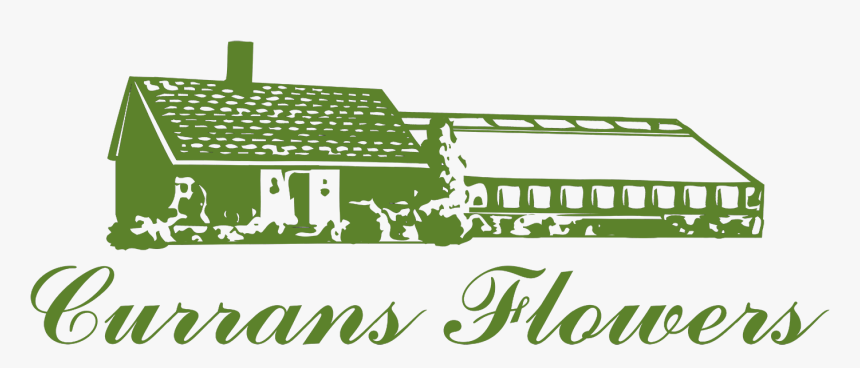 Logo For Currans Flowers Danvers - Melawares, HD Png Download