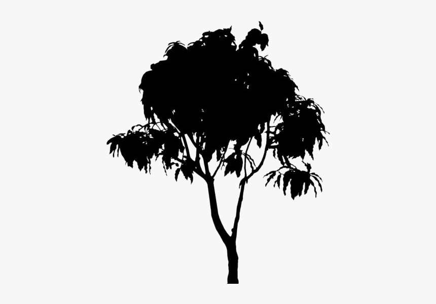 Mango Tree Png Transparent Images - Transparent Mango Tree Png, Png Download