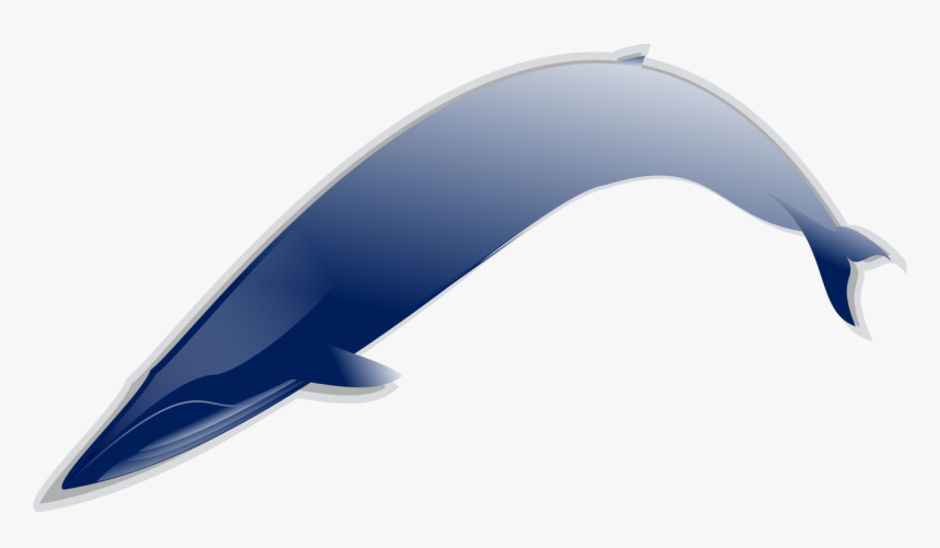Whales Dolphins And Porpoises,fish,dolphin - Curev Transparent Blue Png, Png Download