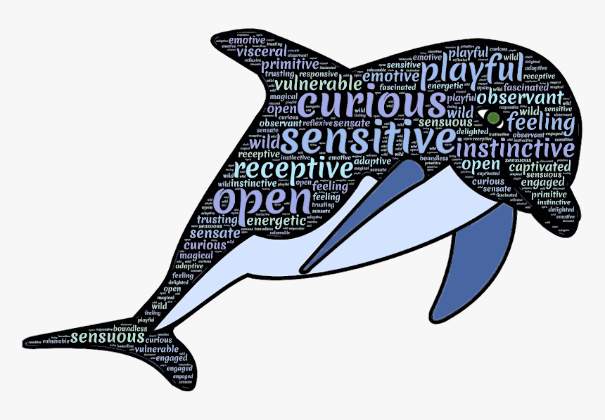 Dolphines Clipart Dolphin Word - Dolphin Wise, HD Png Download