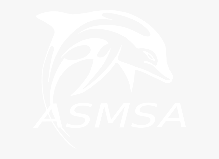 Bchs Dolphin Svg Clip Arts - Illustration, HD Png Download