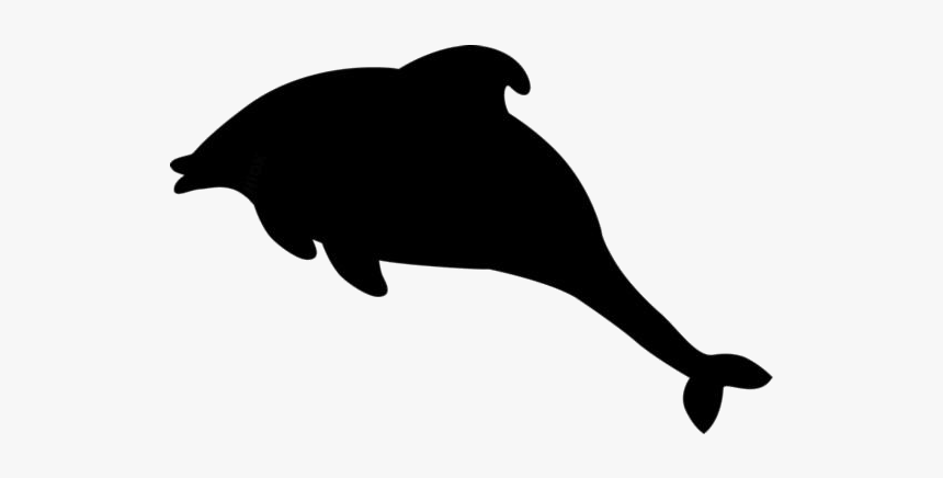 Dolphin Diving Png Transparent Images - Illustration, Png Download