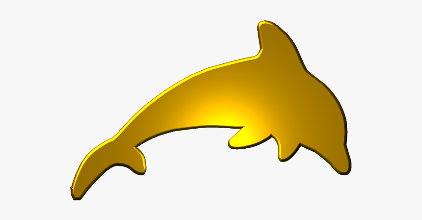 Cartilaginous Fish, HD Png Download