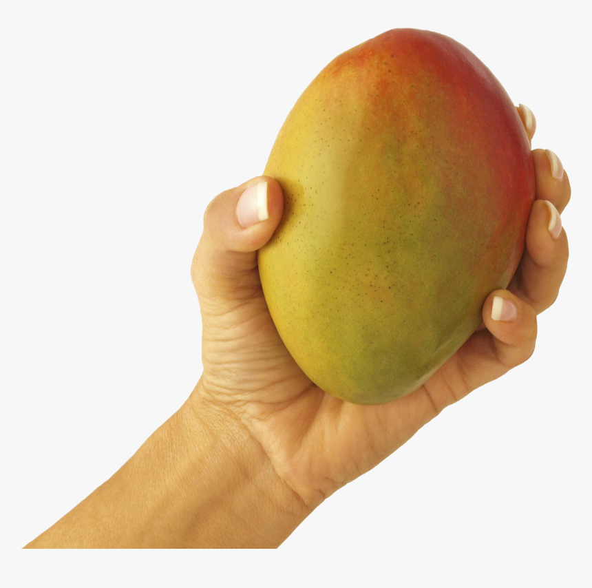 Mango In Hand Png Image - If Your Boyfriend Isn T Treating You Right Let That, Transparent Png