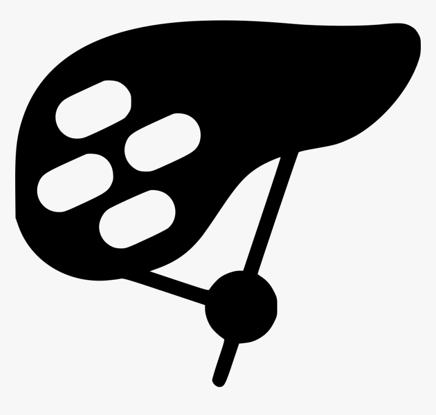 Bicycle Helmet - Bicycle, HD Png Download