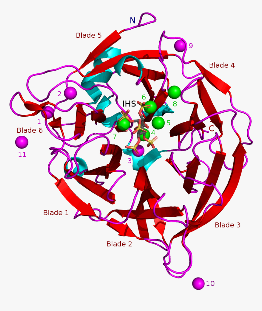 Bpp 3amr With Ihs-front - Graphic Design, HD Png Download