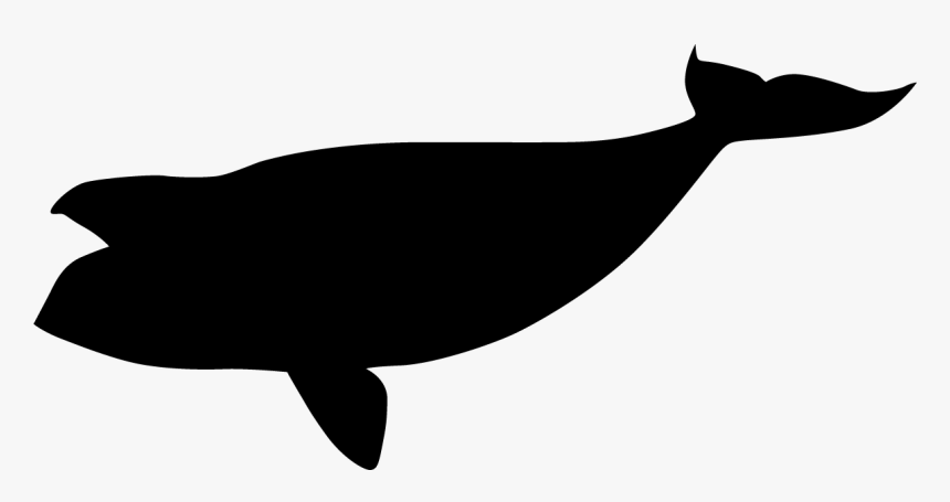 North Pacific Right Whale Black Silhouette - Right Whale Silhouette, HD Png Download