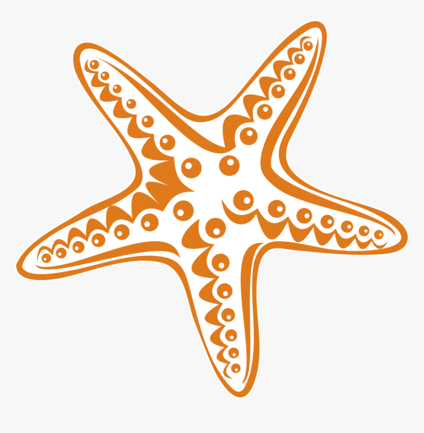 Starfish , Png Download - Starfish, Transparent Png