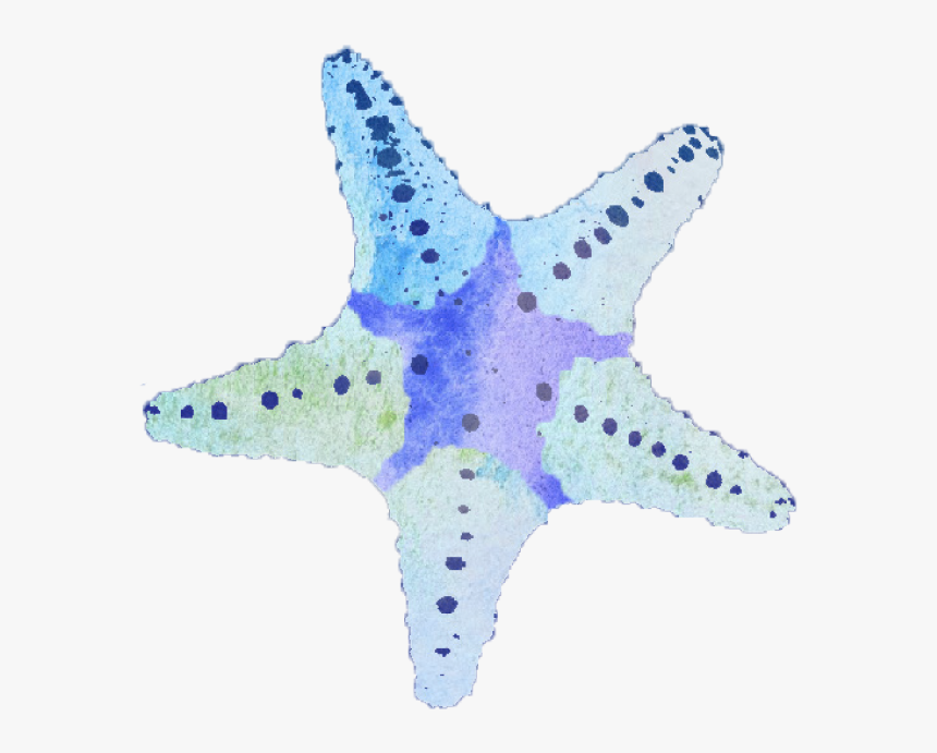 Starfish , Png Download - Starfish, Transparent Png