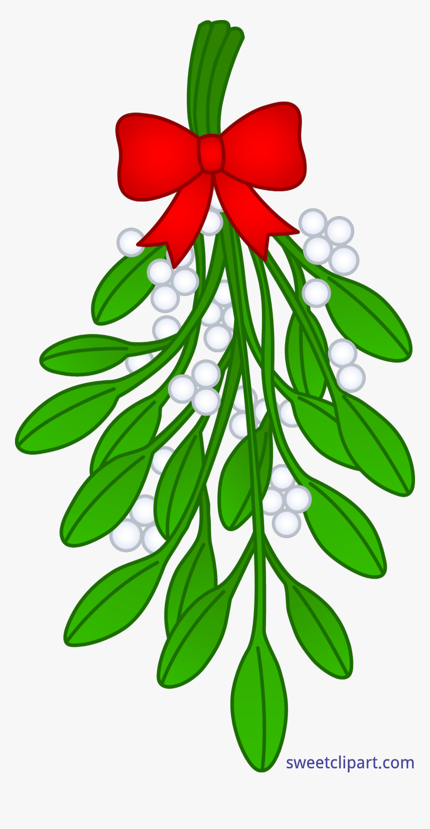 Mistletoe Clipart Tumblr Transparent - Mistletoe Clipart, HD Png Download