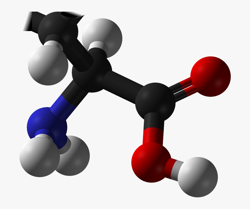 L-amino Acid Any - Essential Amino Acids Png, Transparent Png