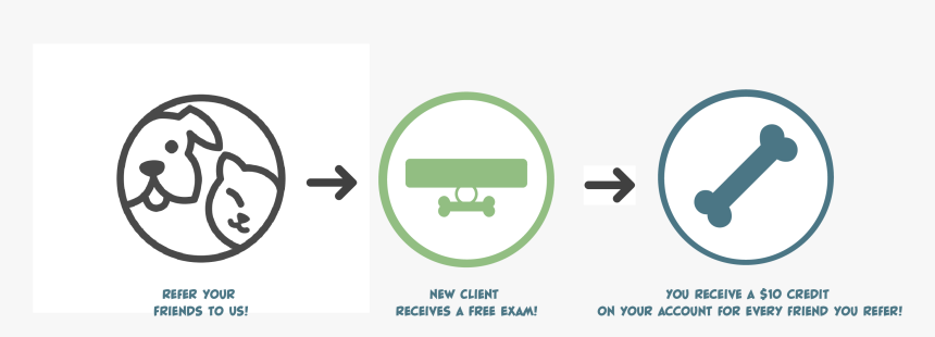 Circle, HD Png Download