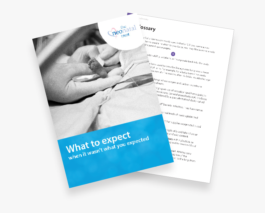 Book Cover & Page - Brochure, HD Png Download