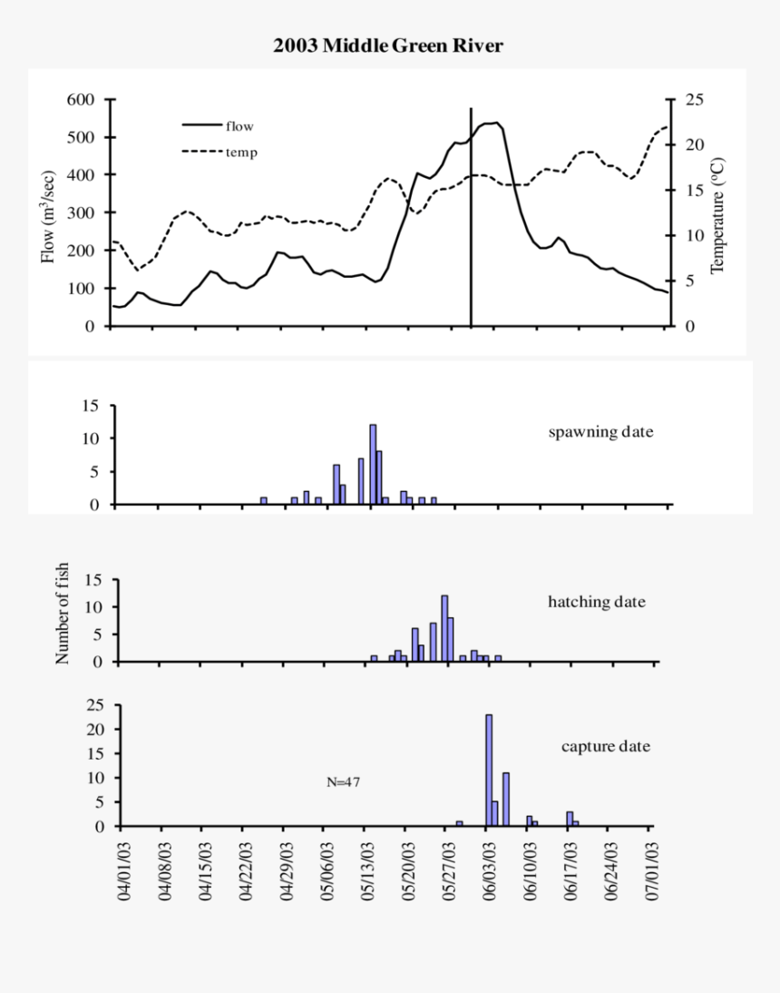 Diagram, HD Png Download