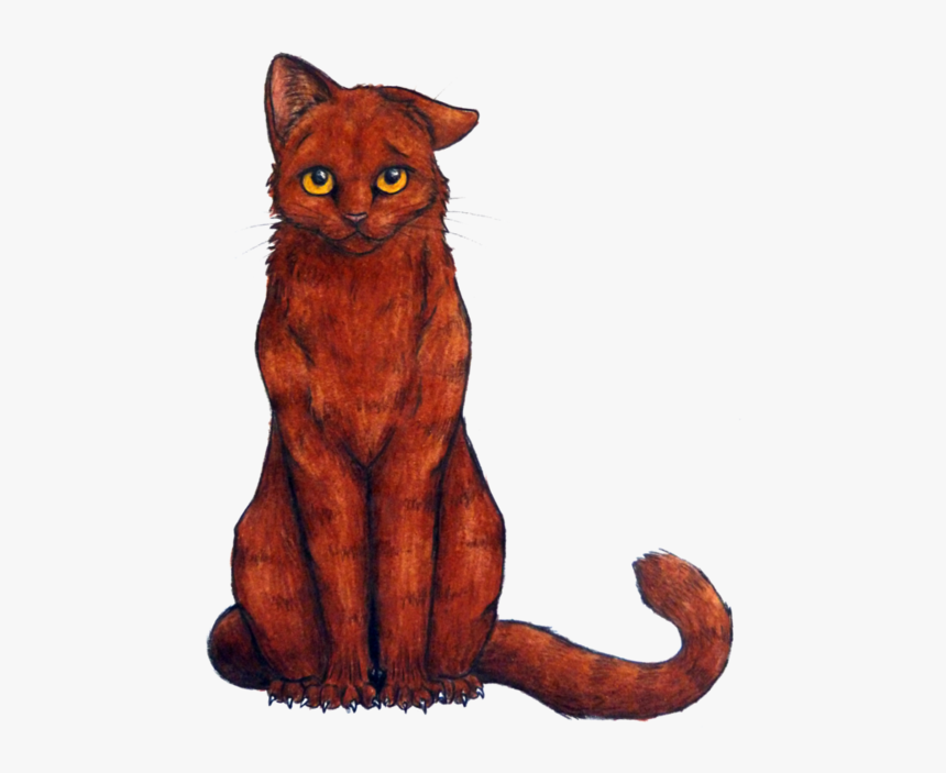 Red Brown Warrior Cats, HD Png Download